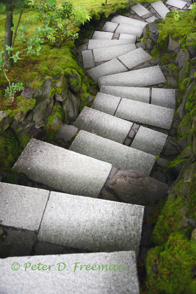 Zen Steps